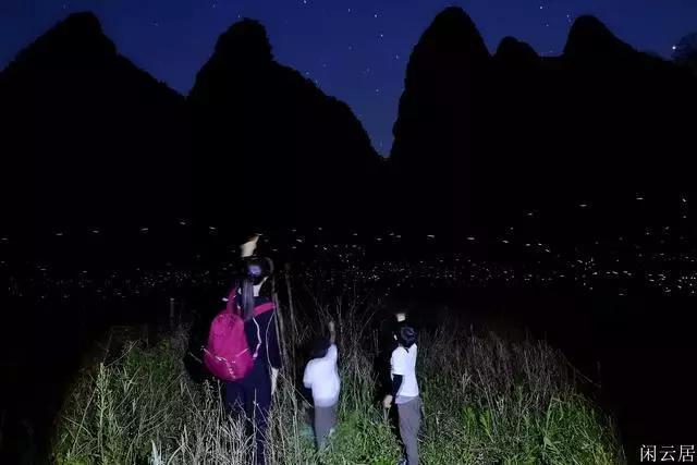 救援怒吼的狮子