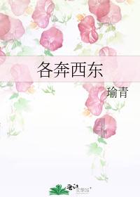 幻想纹章2.0